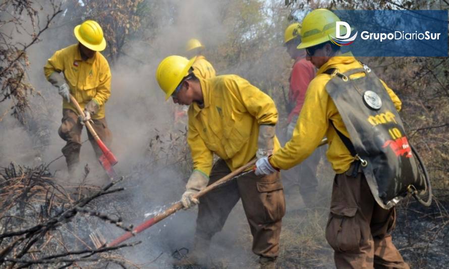 CONAF llama a postular para
conformar brigadas forestales