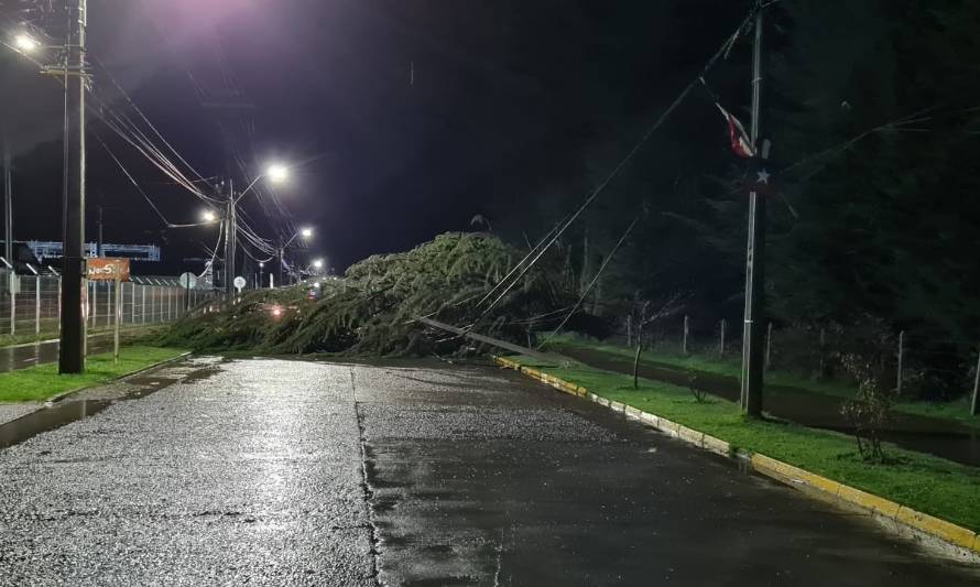 Saesa se encuentra trabajando para recuperar el suministro eléctrico en la  provincia 