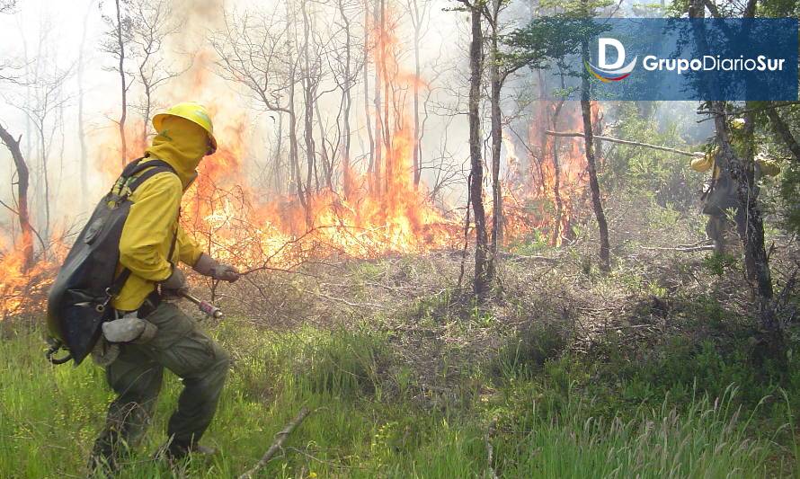 CONAF llama a postular para
conformar brigadas forestales