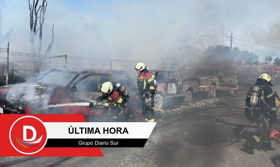 Niña ayudó a una persona a escapar de  incendio en sector Llanos de Tenglo 