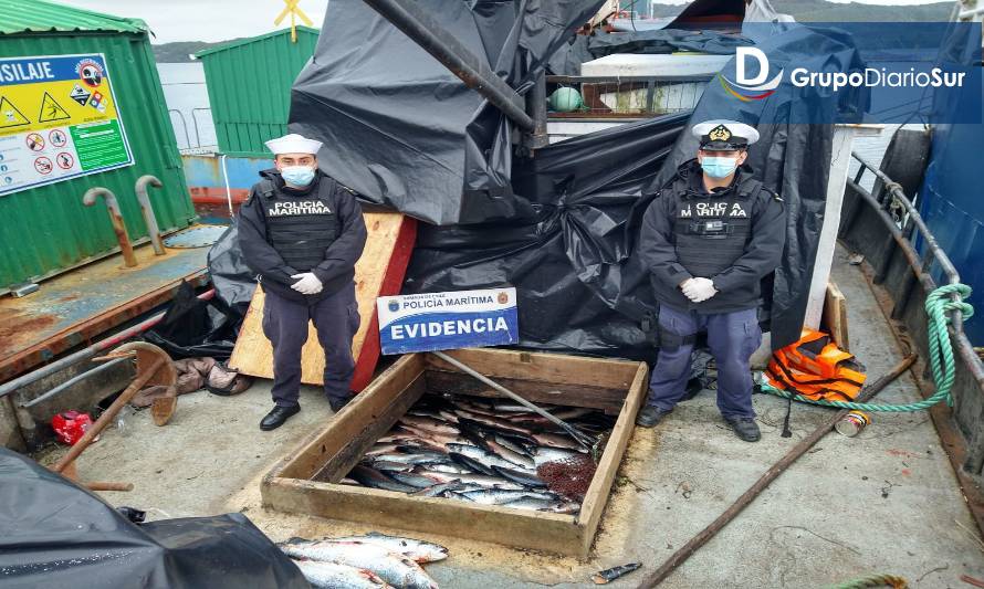 Policía Marítima incauta carca de 13 mil kilos de salmón robado