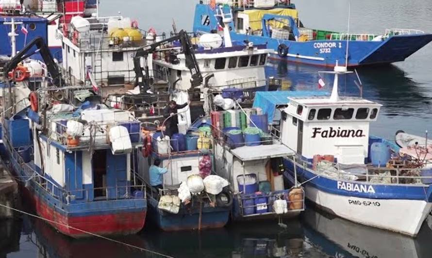 Caletas pesqueras en la región de Los Lagos figuran entre las más afectadas por consecuencias de la pandemia