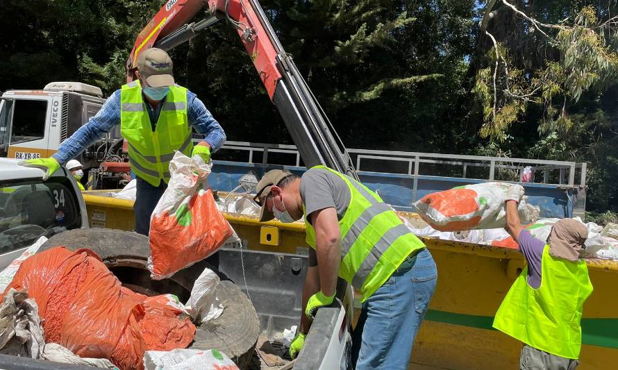 "Rupanco Limpio" aunó esfuerzos de diversos actores para lograr caminos y playas limpias