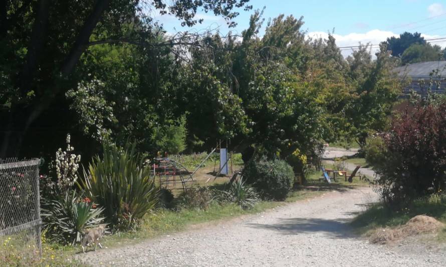 Haitiano con esquizofrenia mantiene asustados a vecinos de Puerto Montt