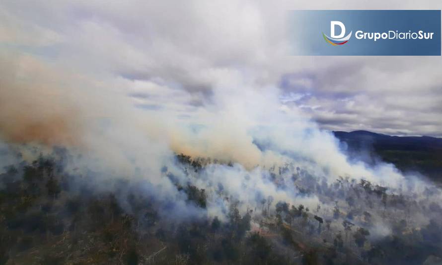 Urgente llamado de auxilio selk'nam ante voraz incendio que arrasa con milenario bosque, ecosistemas y espacios ancestrales en tierra del fuego  