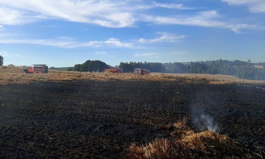 Dos trabajadores agrícolas murieron electrocutados cuando cosechaban trigo 