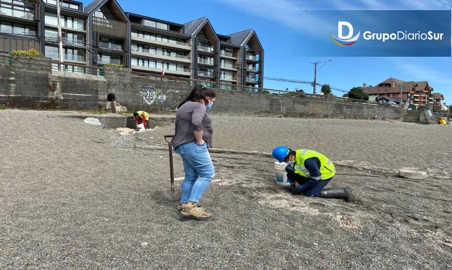 ESSAL presentará querella por rebalse en alcantarillado de Puerto Varas