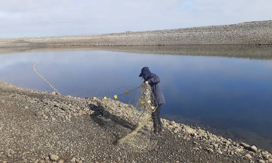 Detectan 400 metros de redes caladas en desembocadura de rio Contao