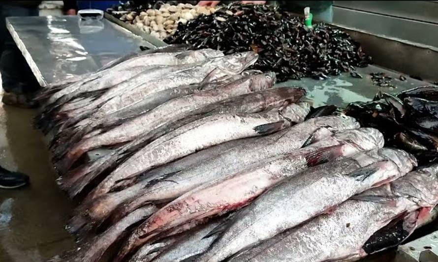 Desaparición de recursos marinos inquieta a la pesca artesanal