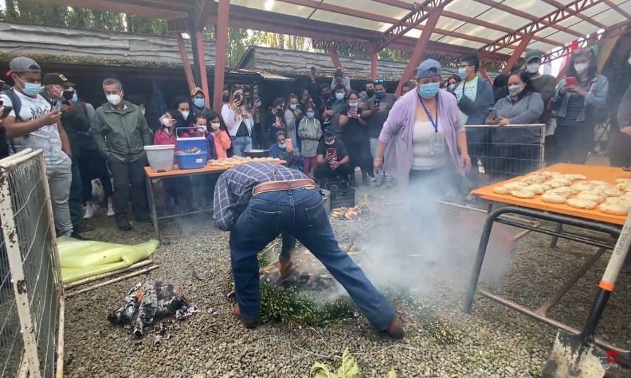 Todo un éxito resultó la primera versión del “Auténtico Curanto al Hoyo Chilote” 