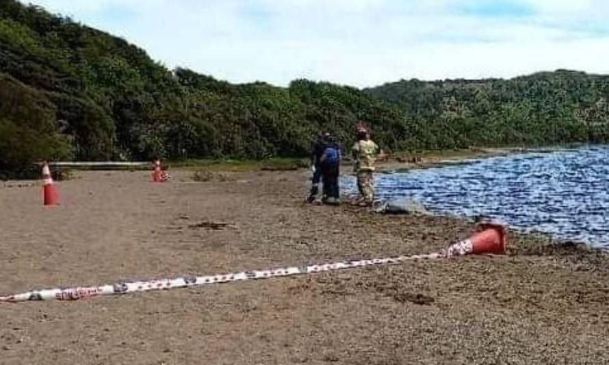 Identificaron cuerpo de joven que se encontró flotando en lago Huelde: era de Chillán 
