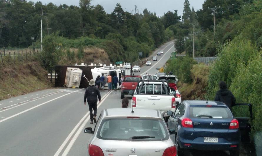 Camión que trasladaba peces vivos volcó en Estero Minte