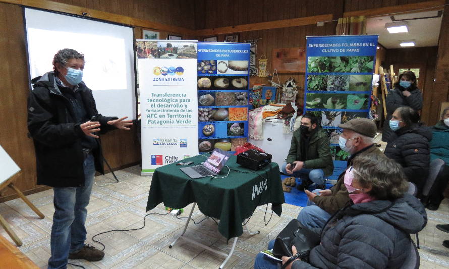 INIA realiza día de campo de Sanidad Vegetal y Producción de Papas en las comunas de Futaleufú y Ayacara