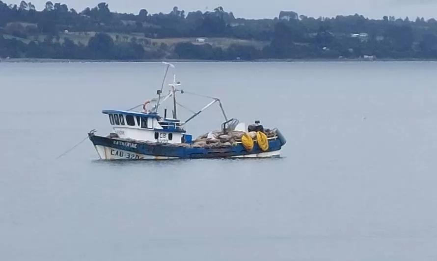 Armada descubrió más de 250 mallas de mariscos con marea roja aposados en Calbuco 