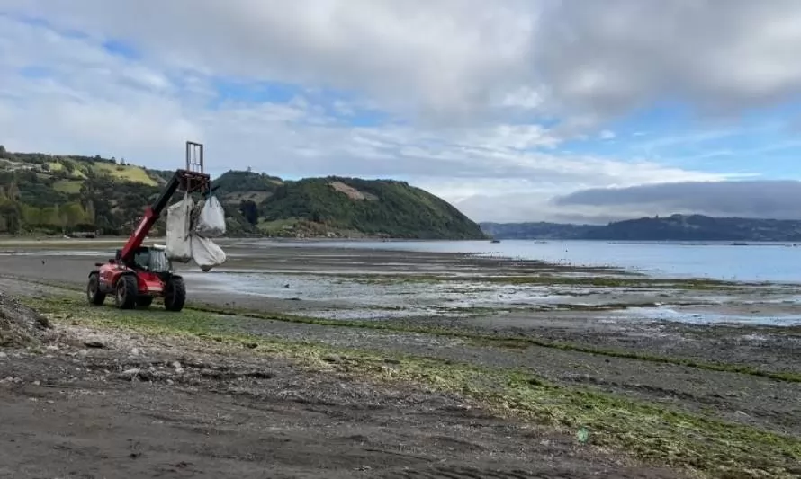 Retiraron 15 toneladas de basura de playa de Chiloé