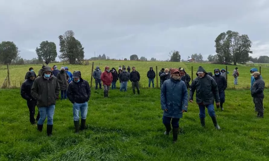 Productores y asesores de Chiloé participaron de un taller sobre praderas y cultivos suplementarios en INIA Butalcura