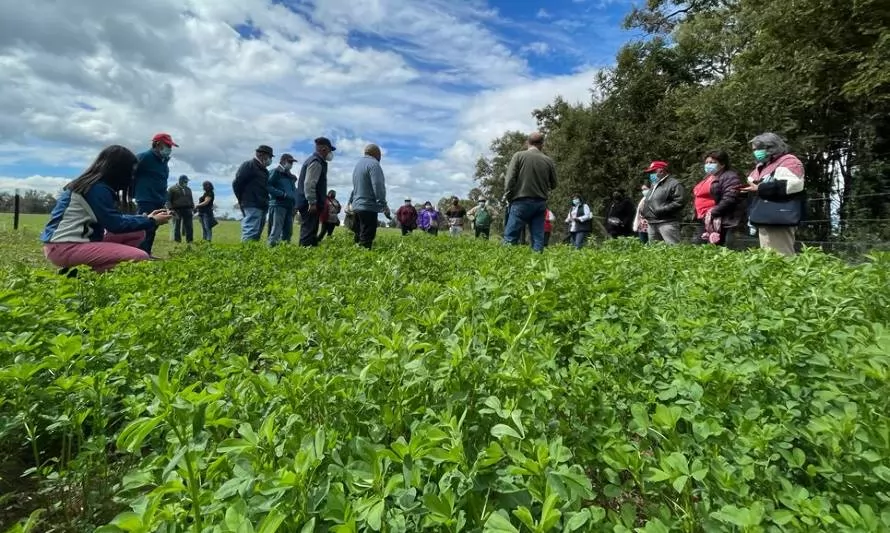 Ganaderos reciben capacitación para enfrentar el cambio climático con el uso de alfalfa