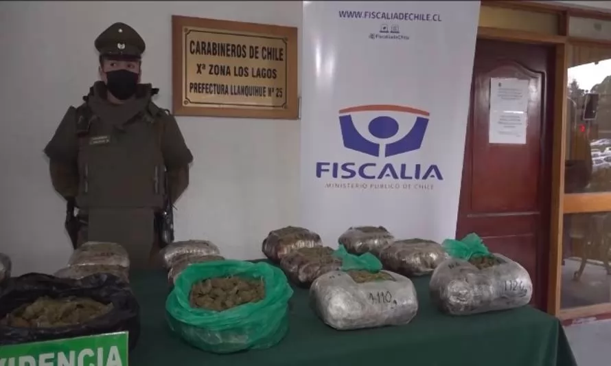 Carabineros sacó de circulación más de 300 millones en drogas en Puerto Montt