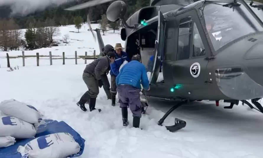 FACH transportó ayuda a familias aisladas por la nieve en Paso El León