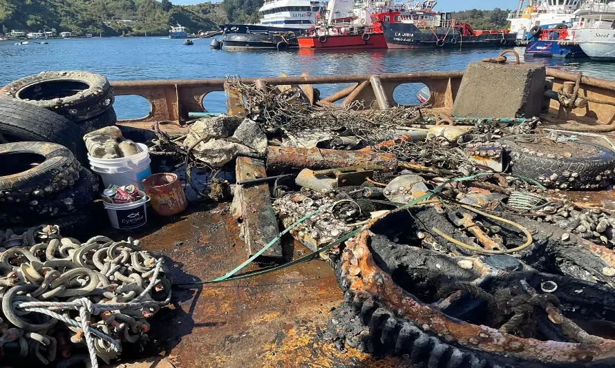 Reúnen 2,5 toneladas de desechos del fondo marino del Canal Tenglo