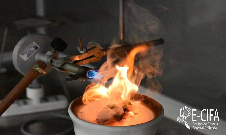 Expertos investigadores conforman Red Iberoamericana enfocada a la inflamabilidad de la vegetación para el manejo de incendios