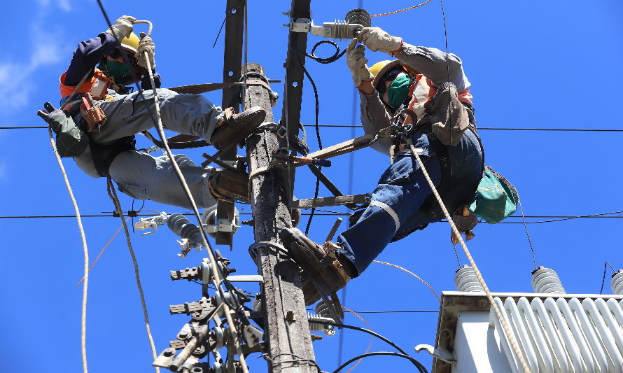 Saesa realizará trabajos de mantención en Puerto Montt y Los Muermos