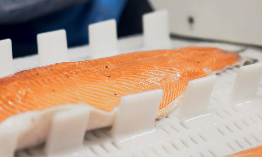SalmonChile destaca reducción en un 7,5% del uso de antibióticos en la salmonicultura