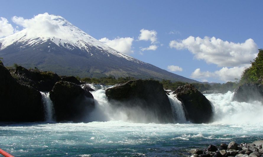 CONAF Los Lagos se suma a Celebración del Día de Los Patrimonios