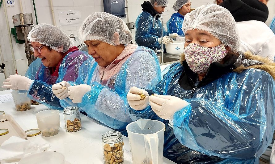 Jefas de Hogar y emprendedores de Alerce se capacitaron en Conserva de Choritos