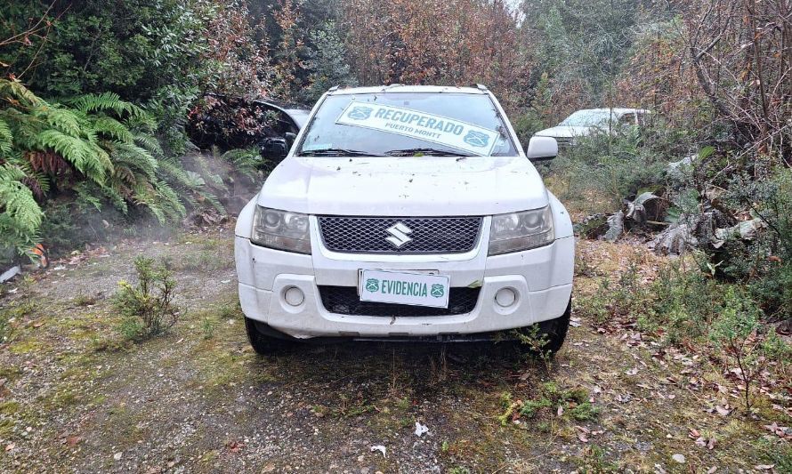 Carabineros recupera vehículos con encargo por robo en Puerto Montt