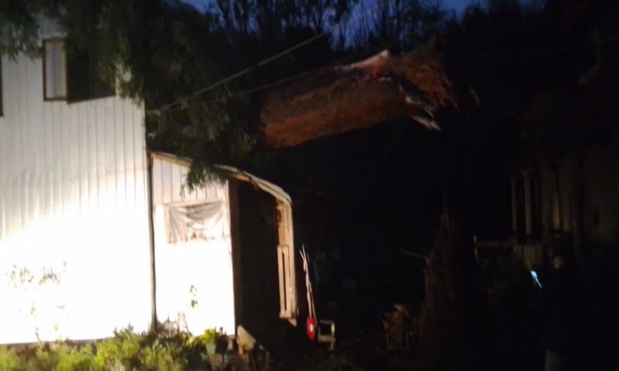 Un árbol cayó sobre una casa en el sector de Totoral