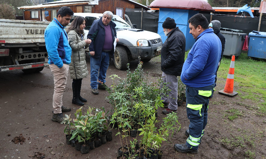 CONAF dona árboles nativos a hospitales interculturales de la provincia de Osorno