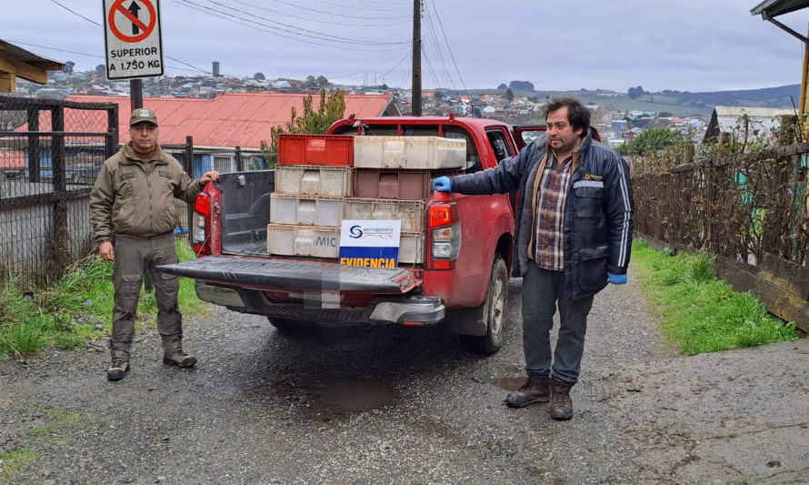 SERNAPESCA incautó 4 toneladas de merluza austral