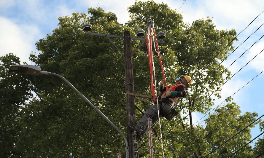 En Puerto Montt y Calbuco Saesa realizará trabajos de mantenimiento en sus instalaciones eléctricas