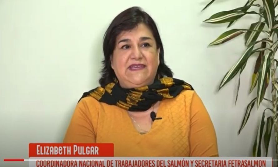 "Protagonistas de las Marchas del Sur": Elizabeth Pulgar