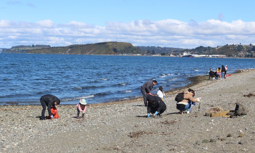 350 kilos de basura se recolectan en Limpieza de Playas en Caleta Pichi Pelluco