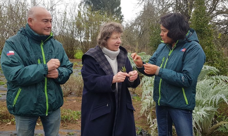 SAG Los Lagos destaca producción orgánica y llama al cumplimiento de normativas