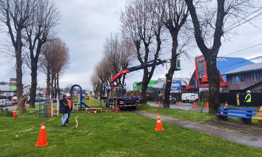 Poda y tala de árboles dará seguridad a vecinos de Puerto Montt