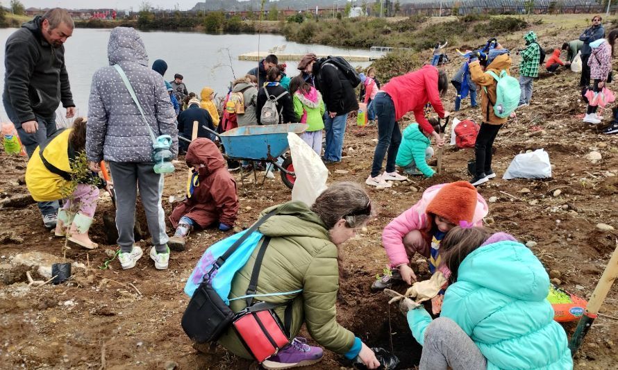 Reforestan Parque Luis Ebel con más de 200 árboles nativos