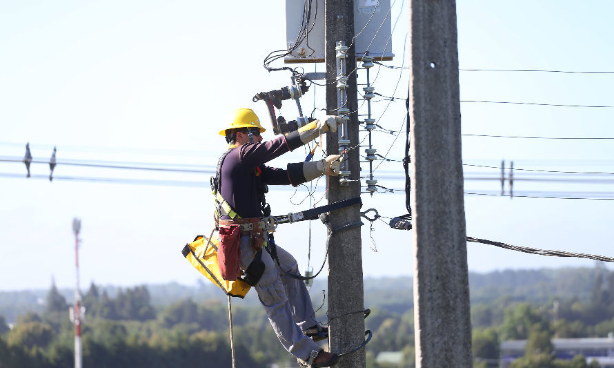 En Los Muermos y Puerto Montt Saesa realizará mantenimiento de sus redes de distribución este jueves