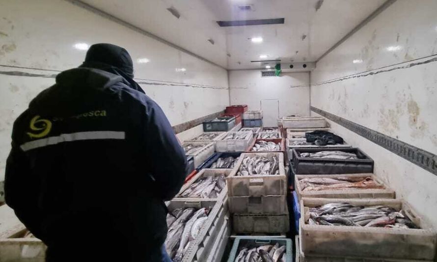 Sernapesca y Carabineros sorprenden transporte de más de 5 toneladas de recursos del mar de origen ilegal