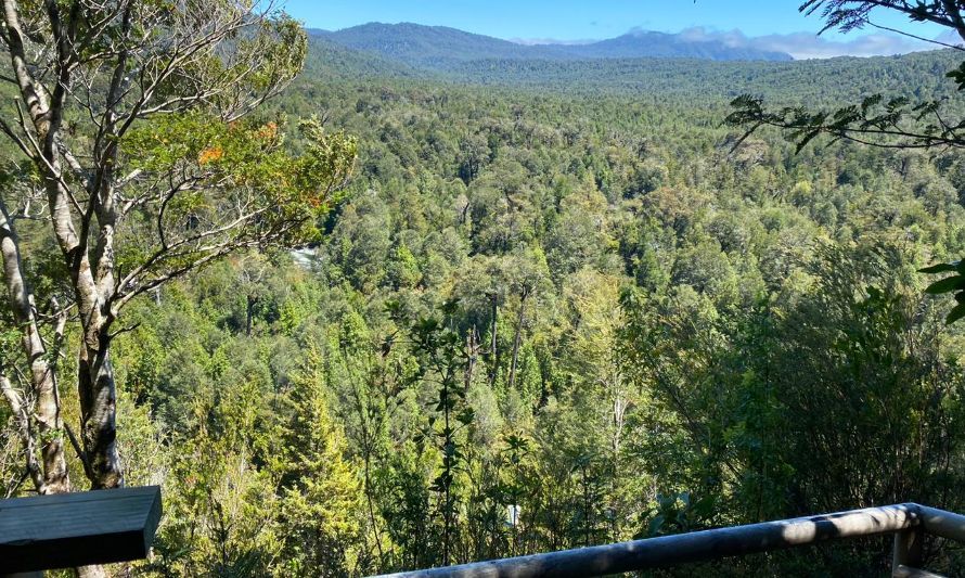 Parque Alerce Andino: Inauguran pasarelas y mirador que potencian el turismo sostenible en la región