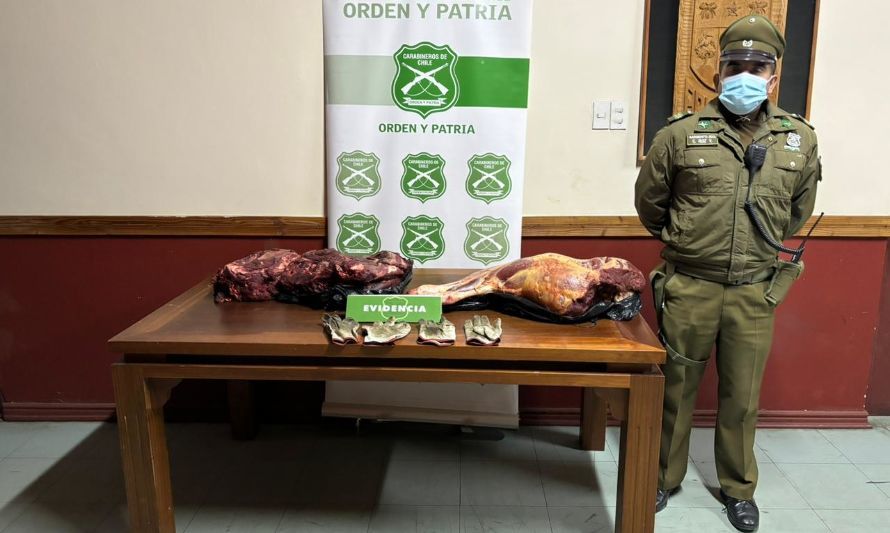 Carabineros detiene a 3 imputados por abigeato en Frutillar