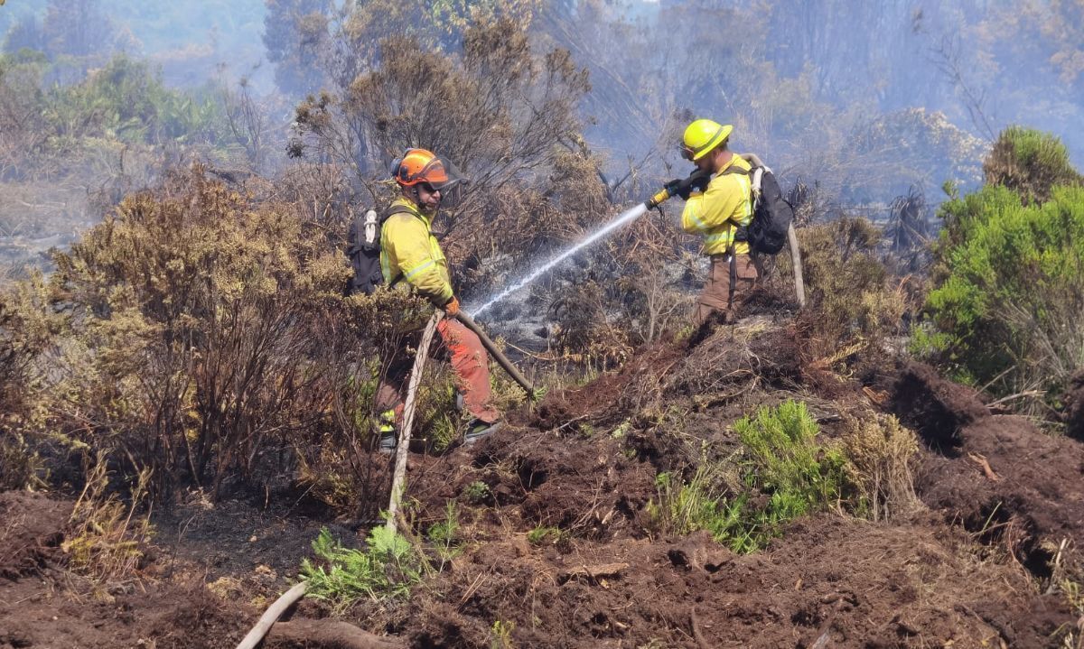 Continúa combate a incendio de Puerta Sur