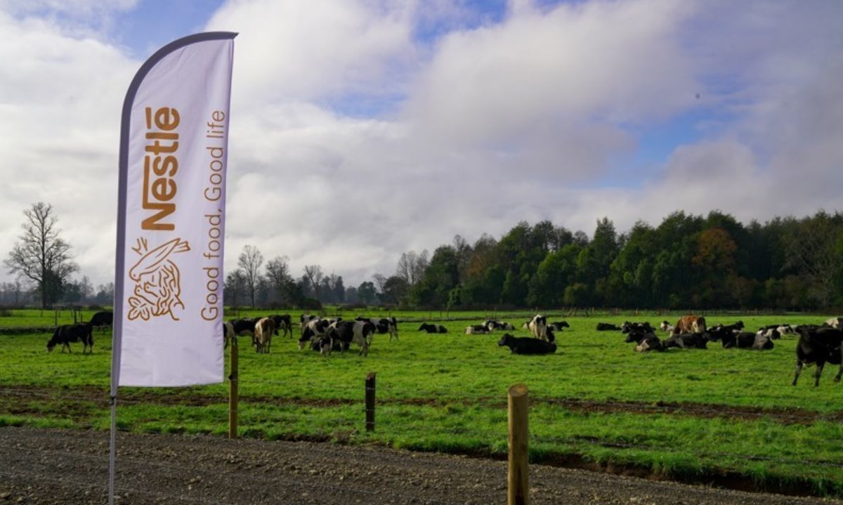 Entregan reconocimientos y fondos a productores lecheros que avanzan en agricultura regenerativa