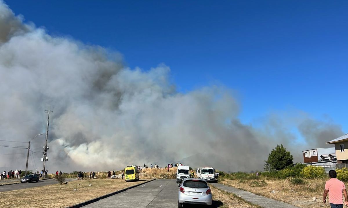 Bomberos de Puerto Montt responde a incendio forestal en Alerce