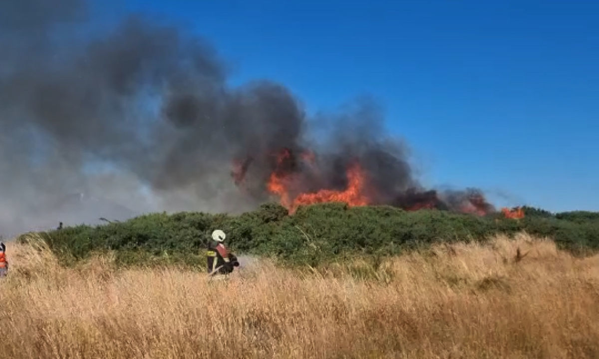 Balance de incendios forestales en Los Lagos: hay 6 focos en combate