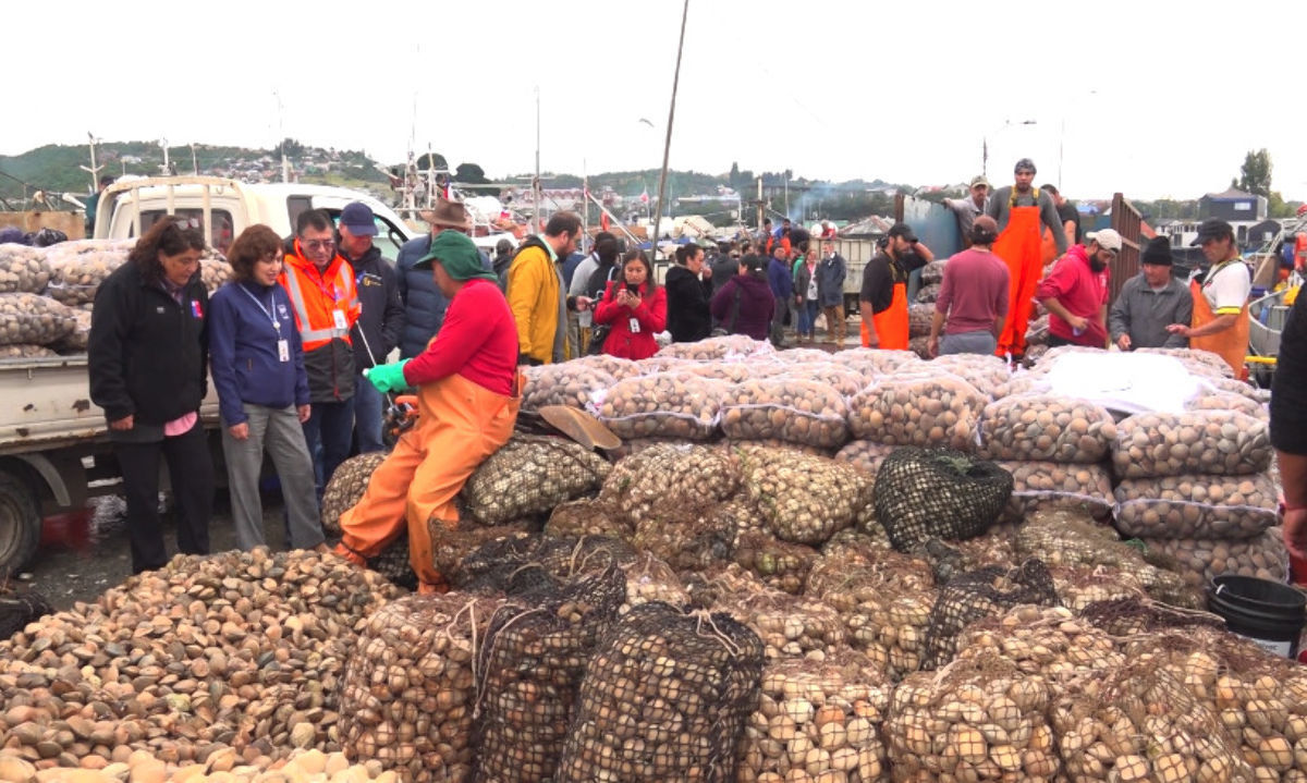 Exitoso despliegue de fiscalización durante Semana Santa en la región de Los Lagos