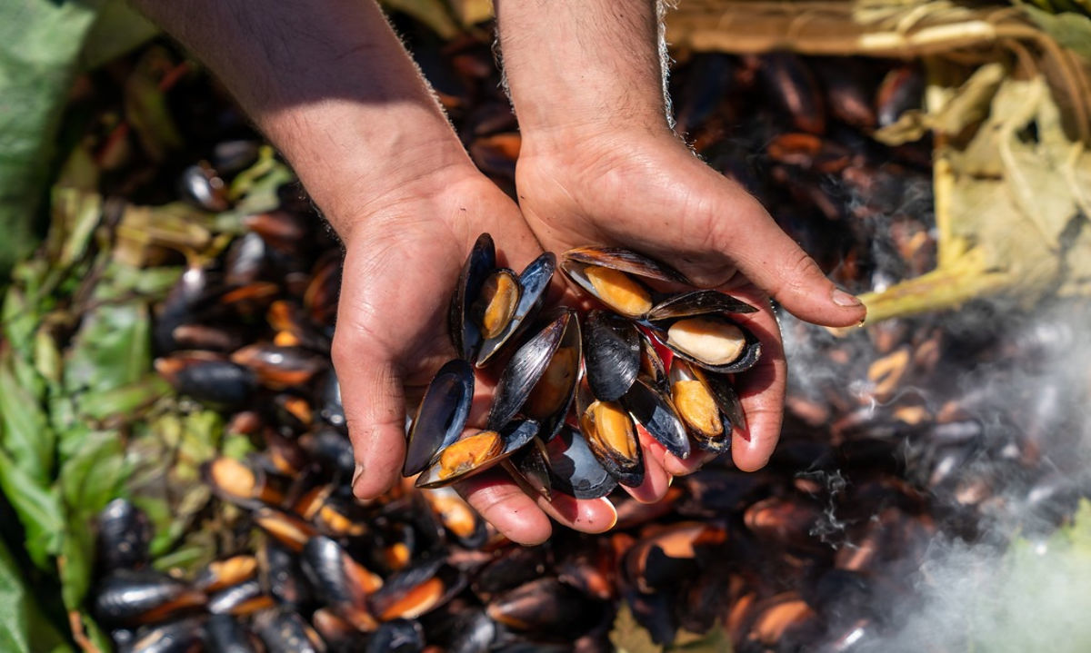 Buscan rescatar los sabores ancestrales del sur de Chile