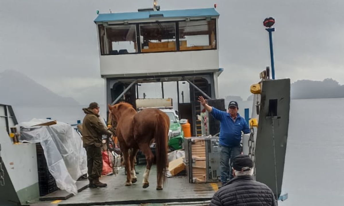 Municipalidad de Puerto Varas realizó operativo de retiro de voluminosos en lago de Todos Los Santos